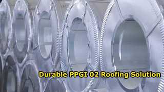 PPGI02